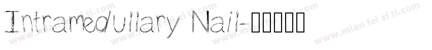 Intramedullary Nail字体转换